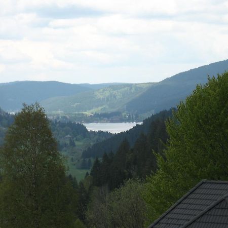 Gaestehaus Faller Hotel Feldberg  Buitenkant foto