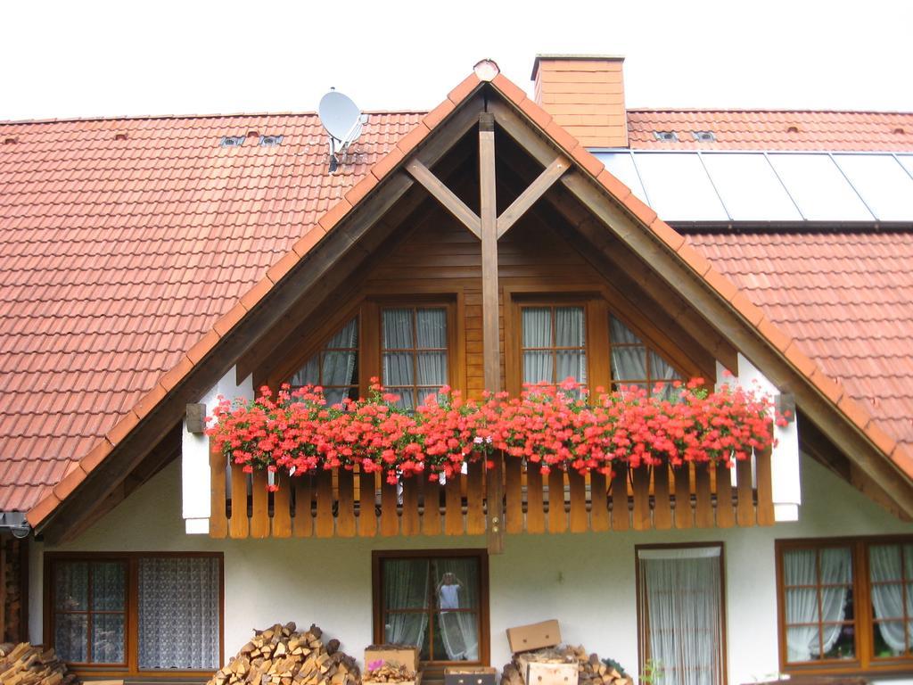 Gaestehaus Faller Hotel Feldberg  Buitenkant foto